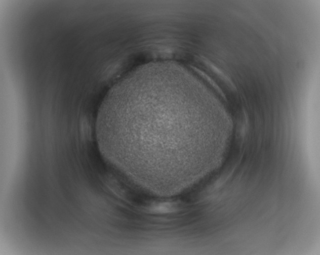 X0000113330661200909281228