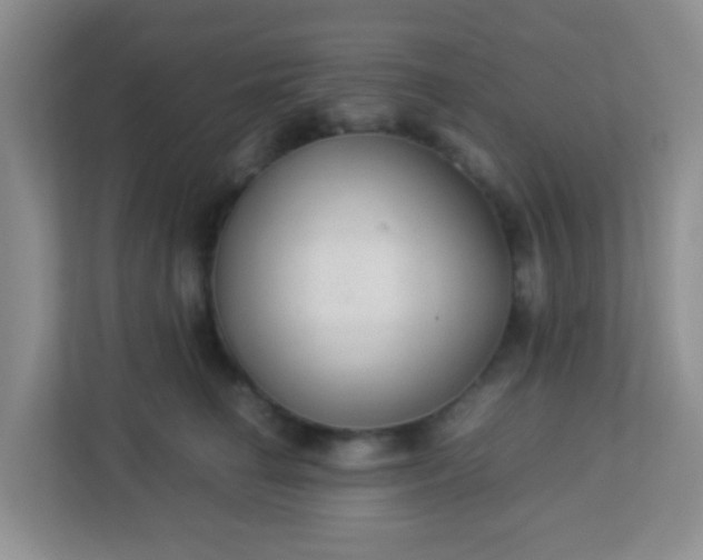 X0000113330662200909281228