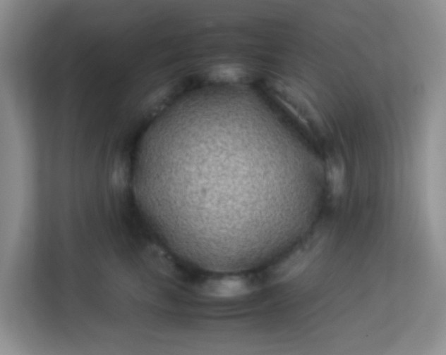 X0000113330665200909281229