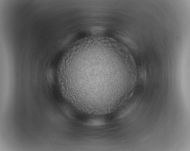 X0000113330667200909281229