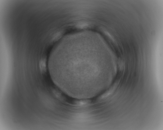 X0000113330670200909281229