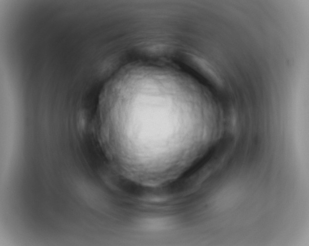 X0000113330671200909281229