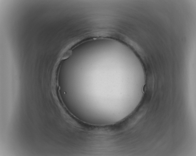 X0000113330673200909281228