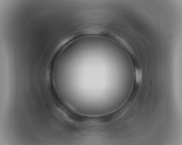 X0000113330675200909281228