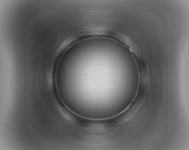 X0000113330677200909281228
