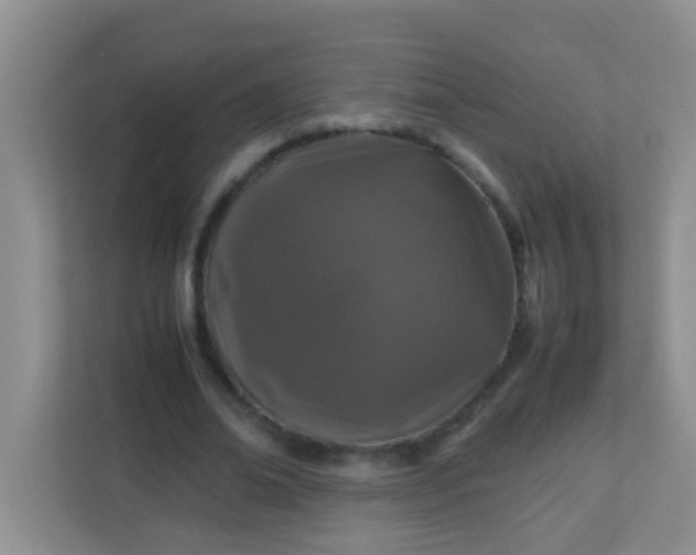 X0000113330678200909281228