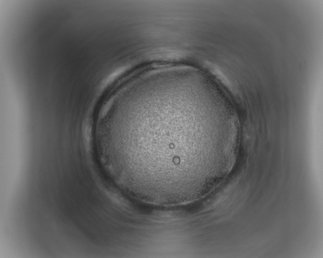 X0000113330679200909281228