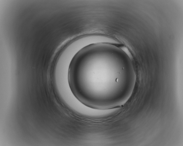 X0000113330680200909281228
