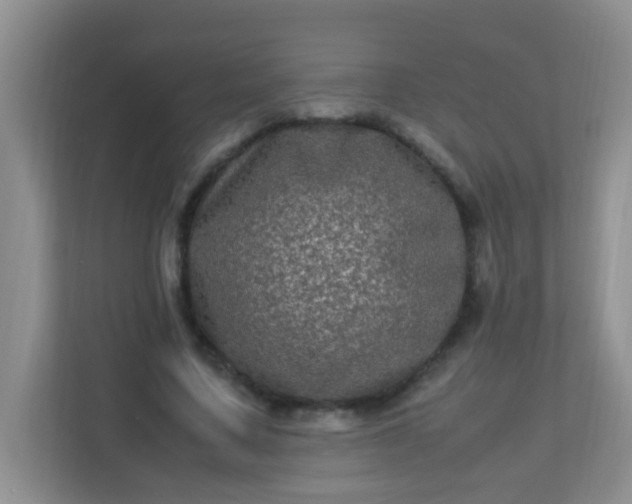 X0000113330683200909281228