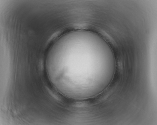 X0000113330686200909281228