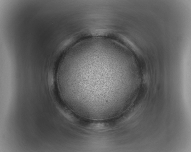 X0000113330687200909281228