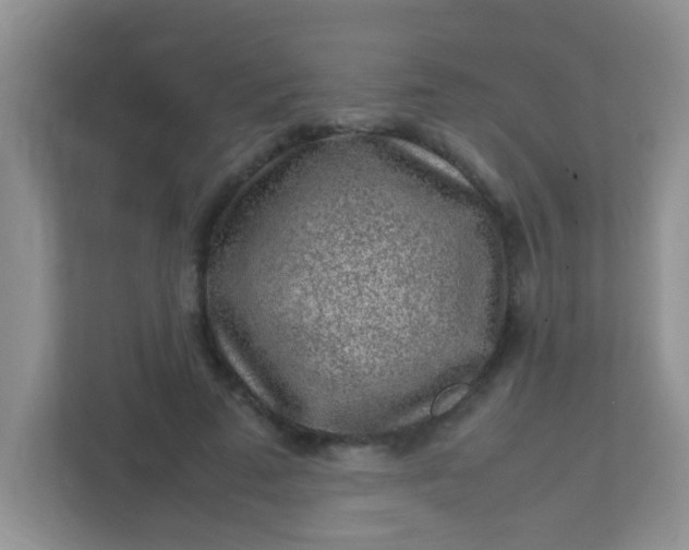 X0000113330689200909281228
