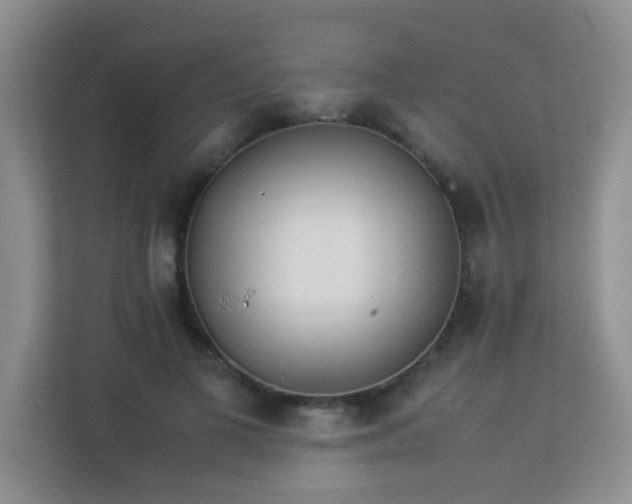 X0000113330693200909281228