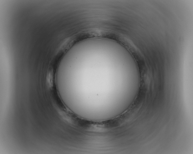 X0000113330694200909281228