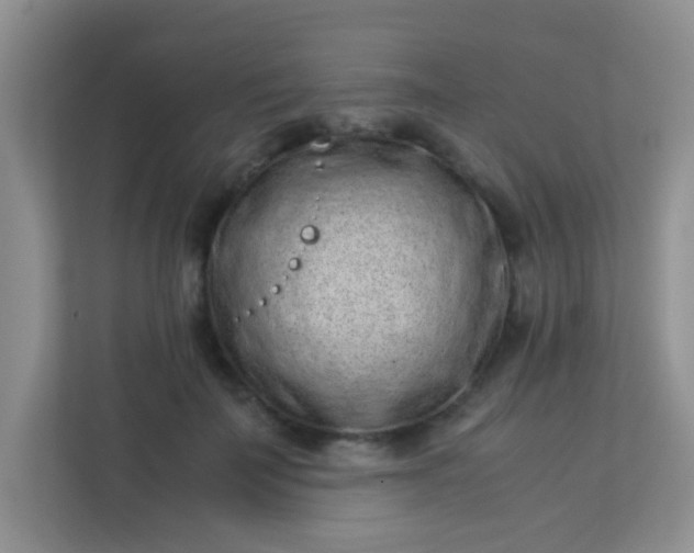 X0000113330699200909281228