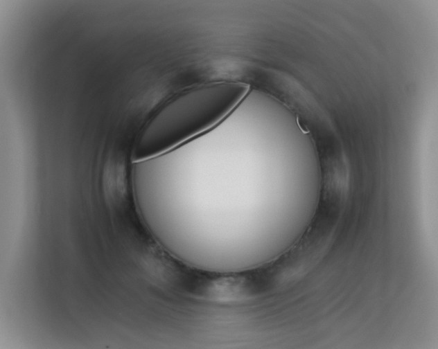 X0000113330700200909281228