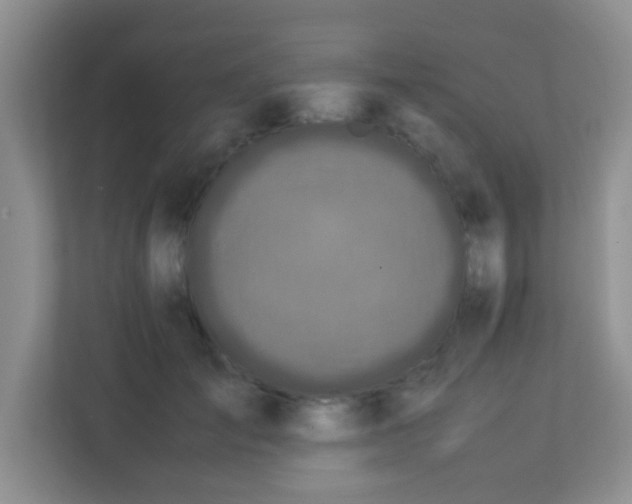 X0000113330701200909281228