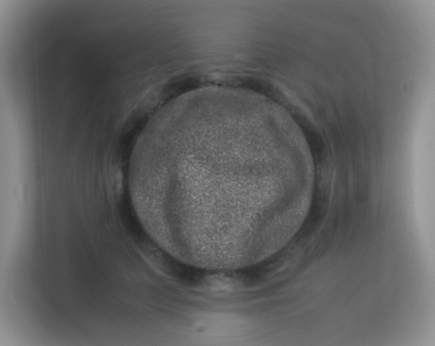 X0000113330703200909281228