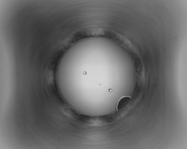 X0000113330704200909281228
