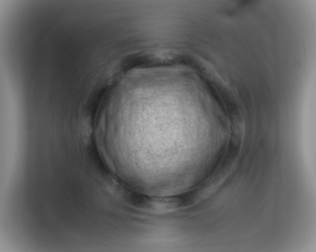 X0000113330707200909281228