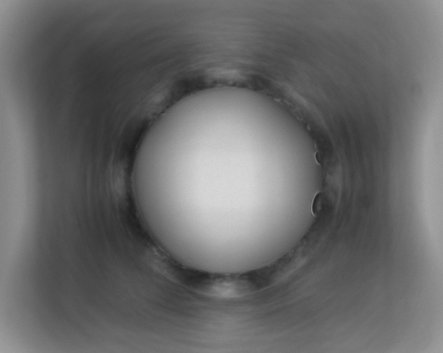 X0000113330708200909281228