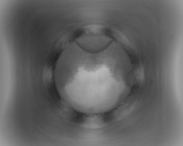 X0000113330709200909281228