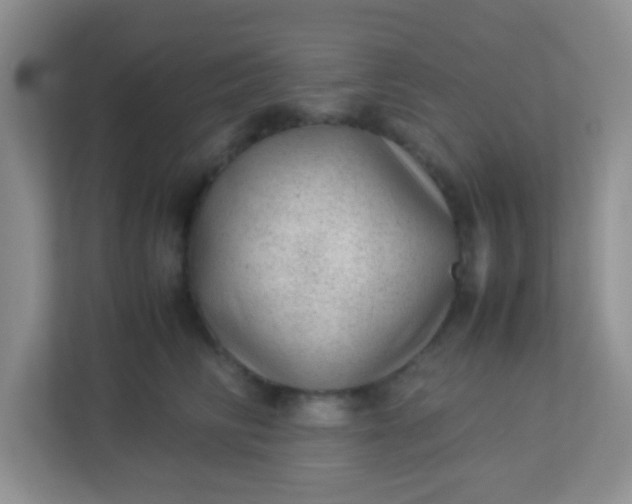 X0000113330710200909281228