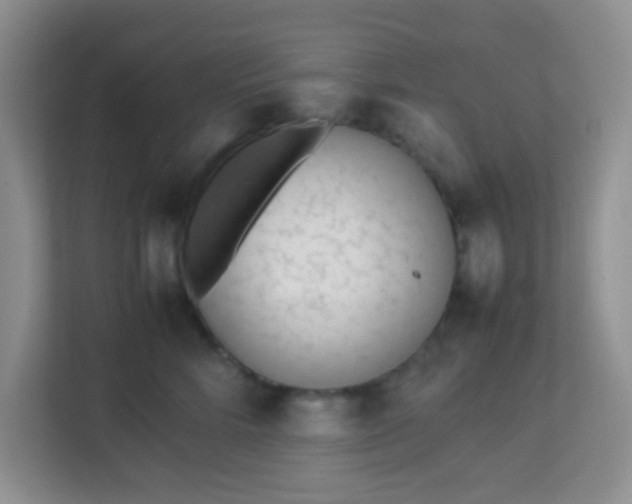 X0000113330712200909281227