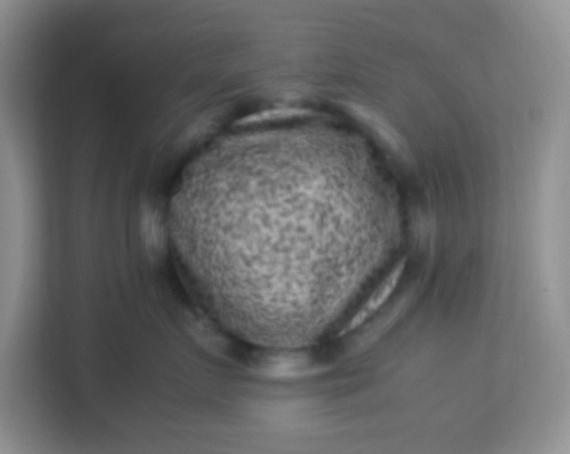 X0000113330719200909281227