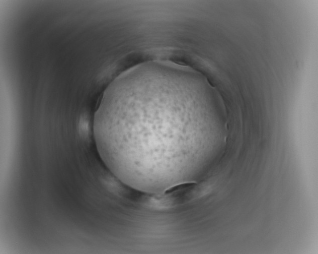 X0000113330720200909281227