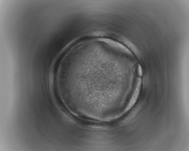 X0000113330722200909281227