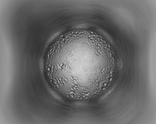 X0000113330725200909281227