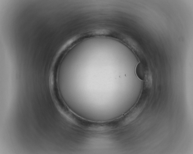 X0000113330726200909281227