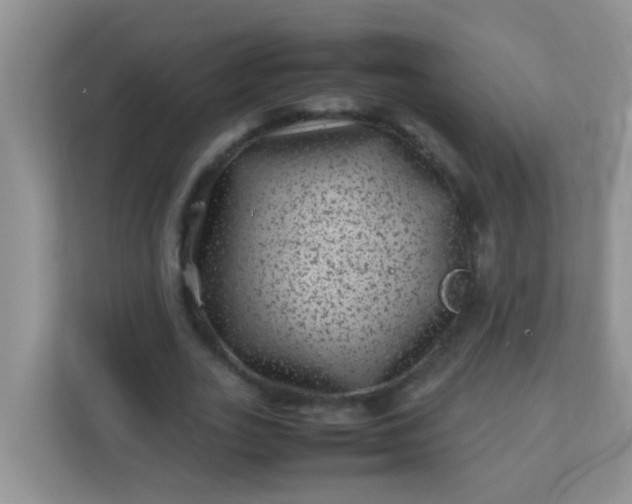 X0000113330727200909281227