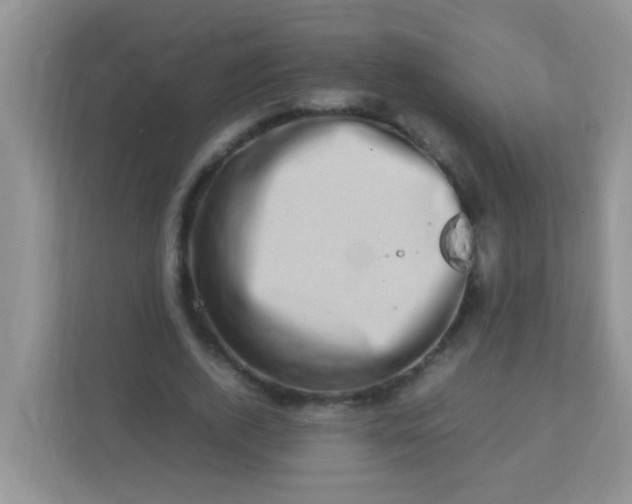X0000113330728200909281227