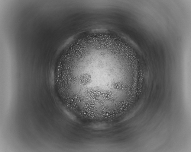 X0000113330729200909281227