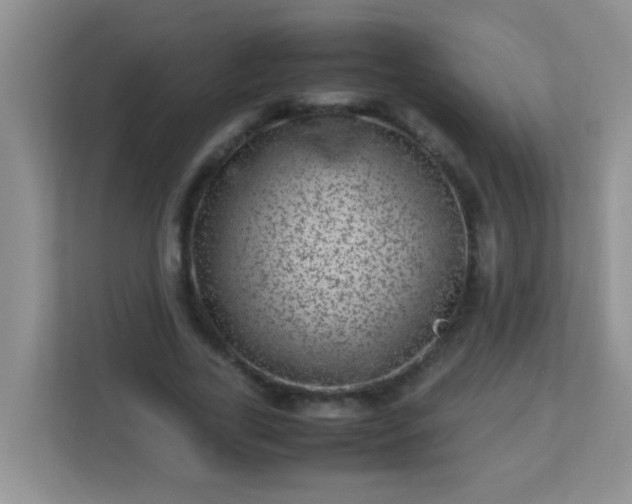 X0000113330731200909281227
