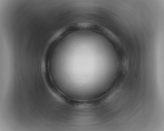 X0000113330734200909281227