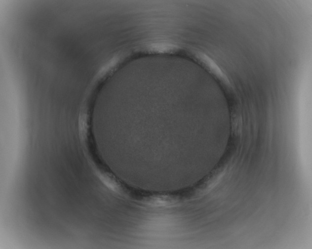 X0000113330736200909281227