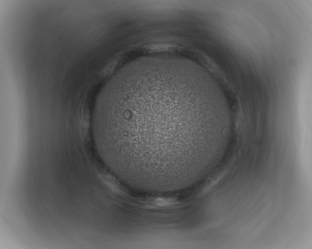 X0000113330737200909281227