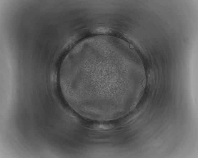 X0000113330739200909281227