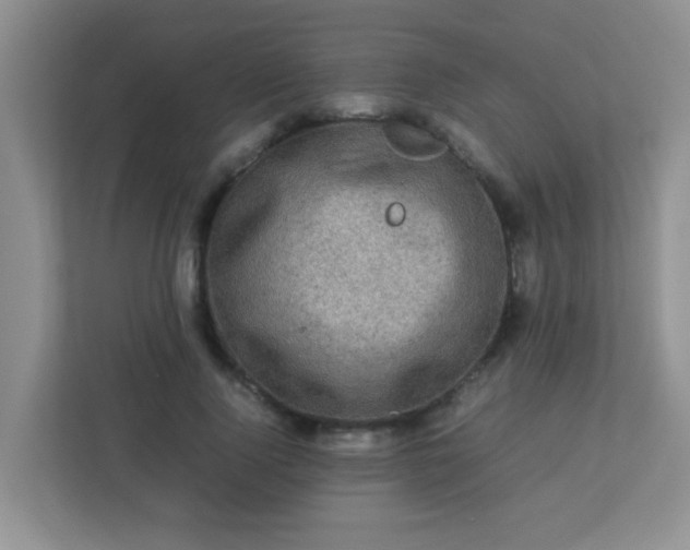 X0000113330740200909281227