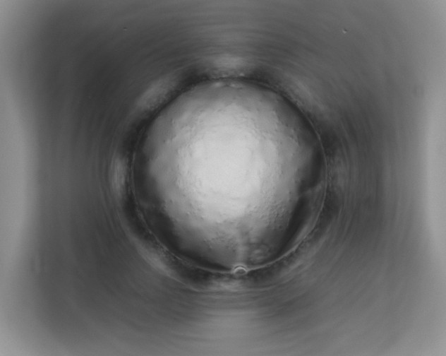 X0000113330742200909281227