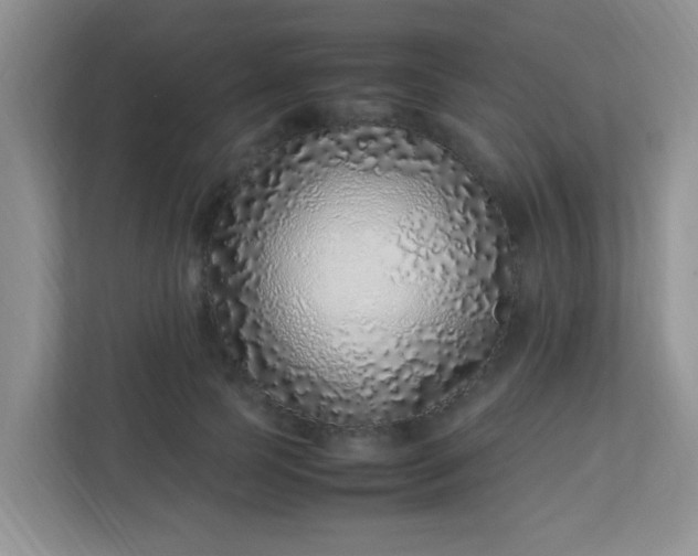 X0000113330745200909281227