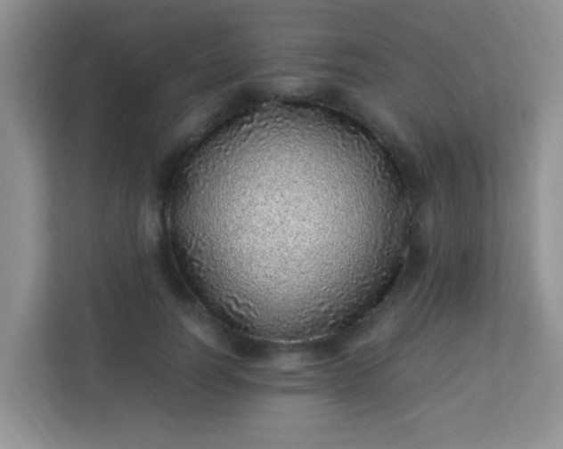 X0000113330746200909281227