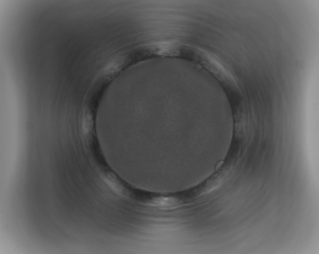 X0000113330748200909281227