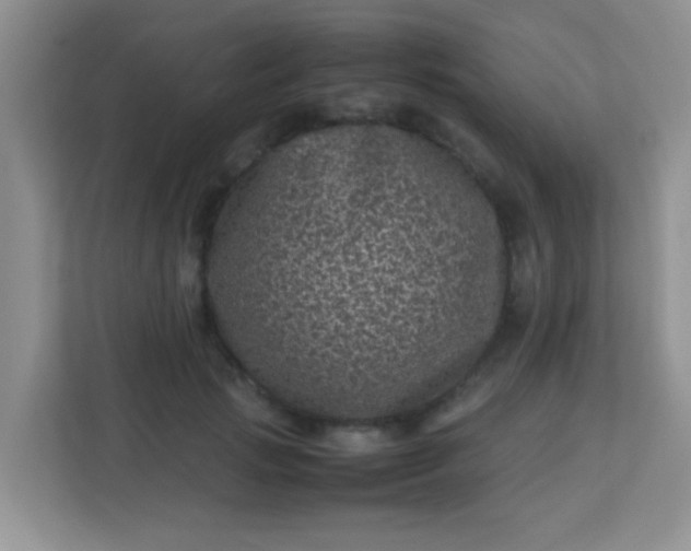 X0000113330749200909281227