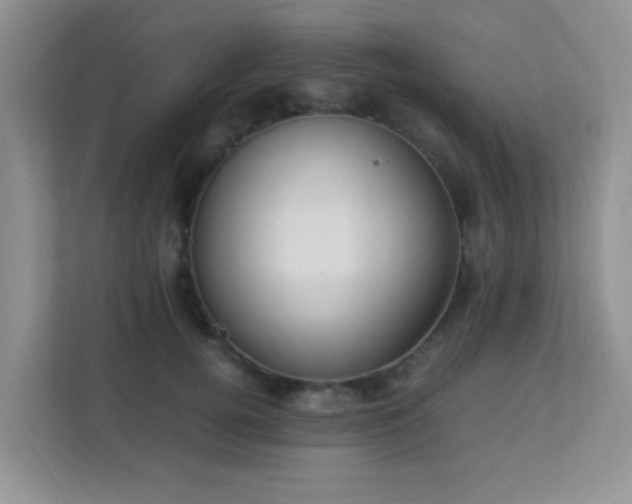 X0000113330752200909281227