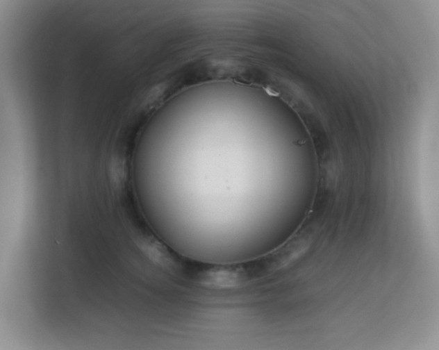X0000113330756200909281227