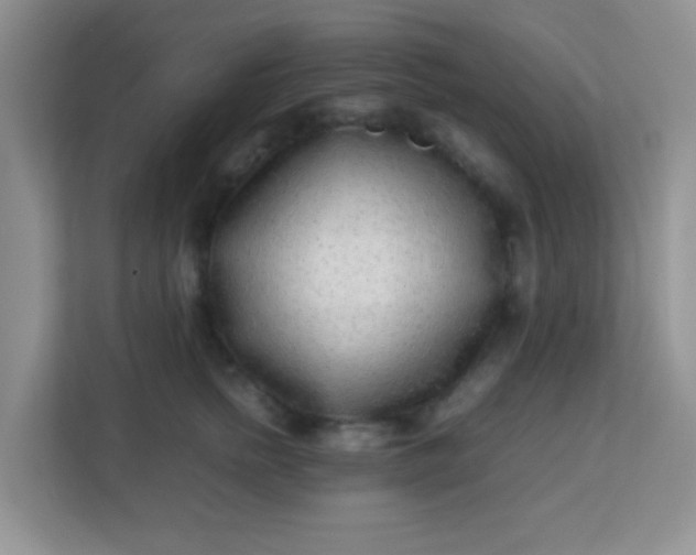 X0000113330758200909281227